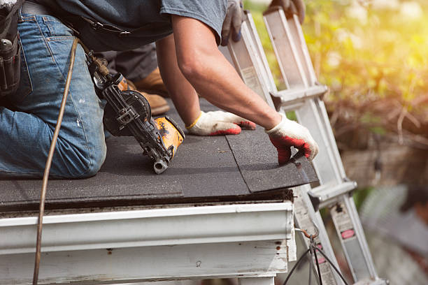Best Metal Roofing Contractor  in Albany, IN